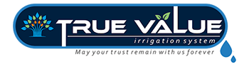 true-value