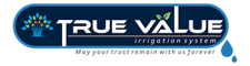 true-value